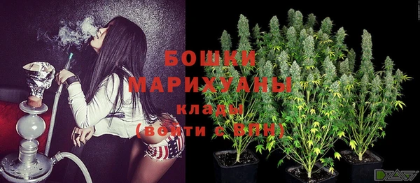 стаф Семилуки
