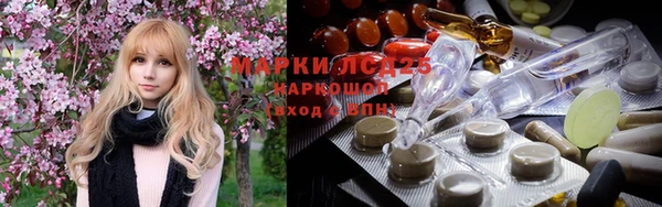 стаф Семилуки