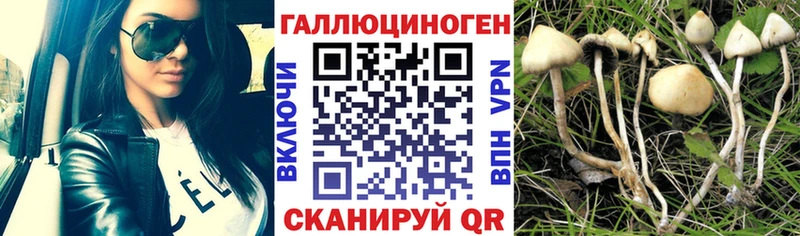 Галлюциногенные грибы мицелий  купить  сайты  Жердевка 